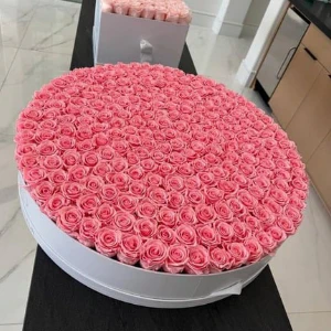 Elegant Pink Blooms in a Leather Box