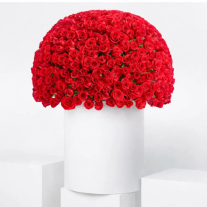 Timeless Red in White Elegance